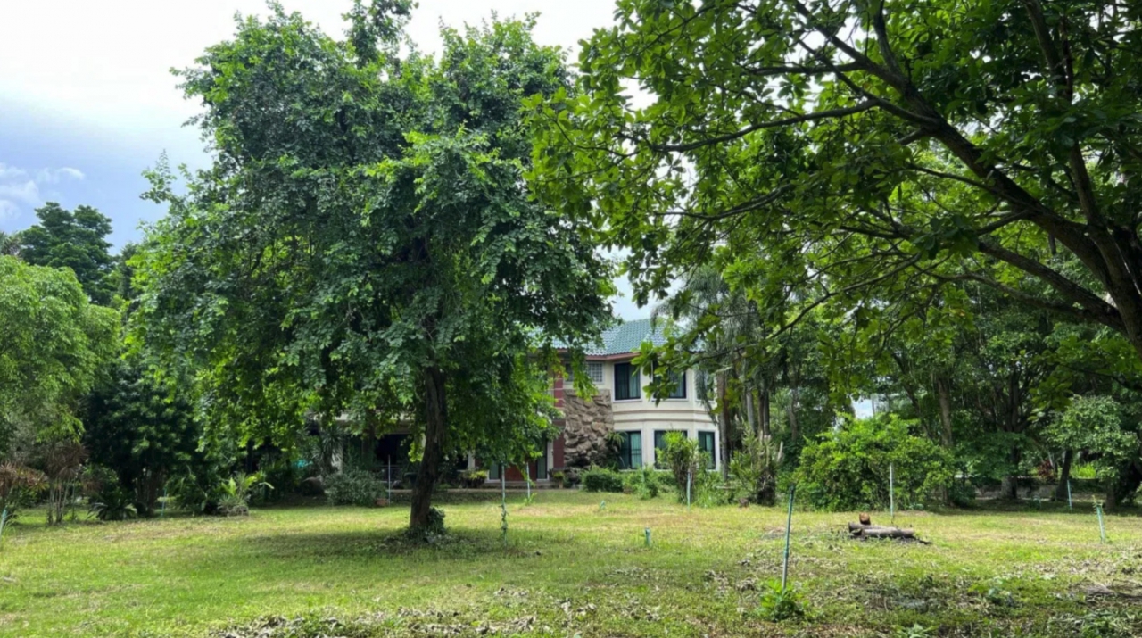 Xnip2568-04-04_22-42-59.jpg - ขายที่ดิน 2 แปลง 11 ไร่ 15 ไร่ พร้อมสิ่งปลูกสร้าง | https://greenvaleproperties.com